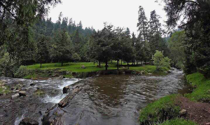 Avances a 100 días 💜👰🏽🤵🏽 - 11