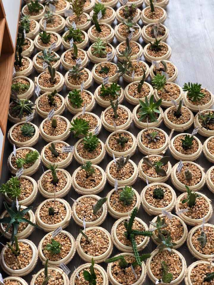 Uñas del gran día 😍♥️🥳 y los recuerdos 🌵 - 6