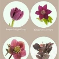 Club de la novia marsala - 19