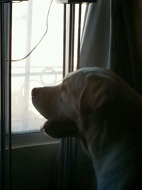 Mis últimos diy!! - 4