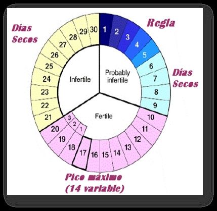 Resumen de las platicas prematrimoniales último día! - 3