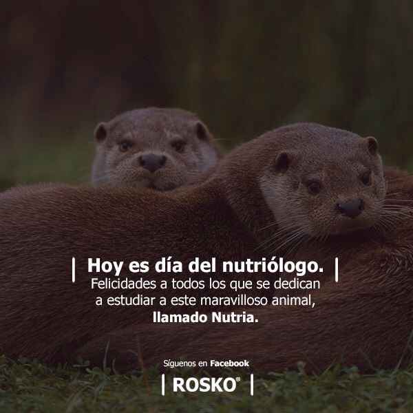 Día del nutriólogo!