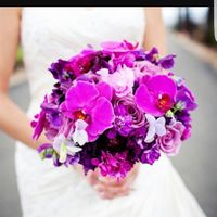 Damas o damas , y de que color? - 1