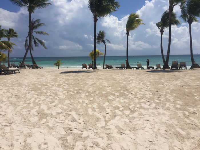 “la playa del amor” que es igual a “ya tenemos lugar de boda”. - 1