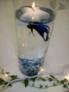 Invitación Despedida de Soltera 4