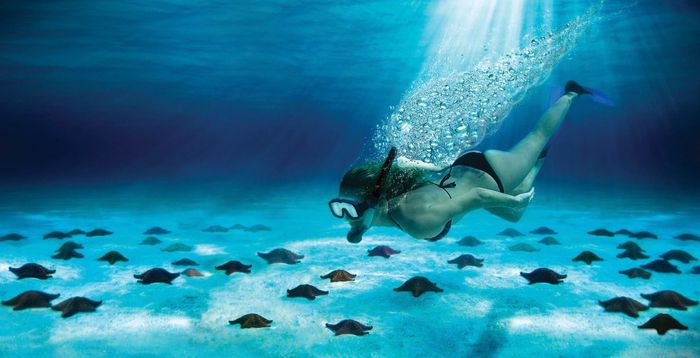 cozumel 1