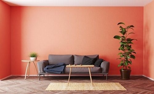¿De qué color van a decorar su casa? 7