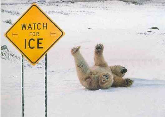Patinando en el hielo
