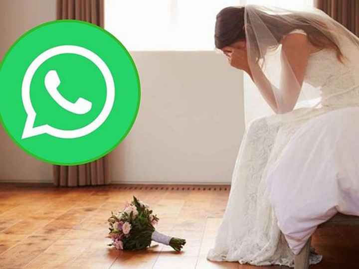El whatsapp y bodabodaa