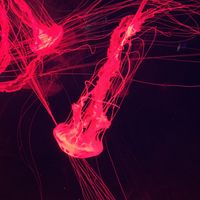 Como planeas tu luna de miel - 1