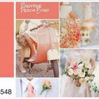 Colores de tendencia 2016 - Los colores - 1