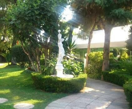 Mi jardin - 3