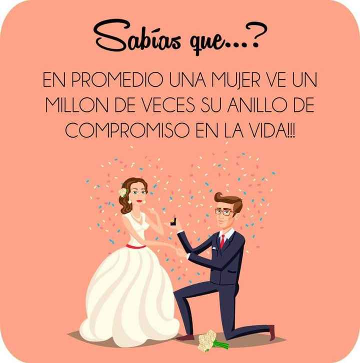 Ustedes cuántas veces ven su anillo? - 1