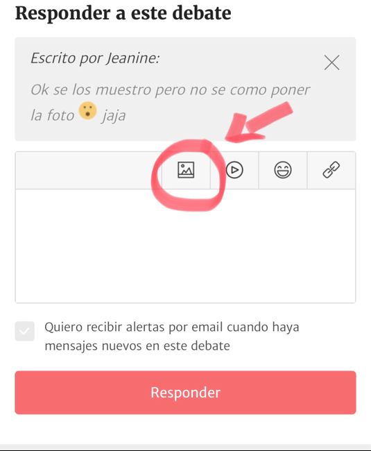 Tipos de anillos 6