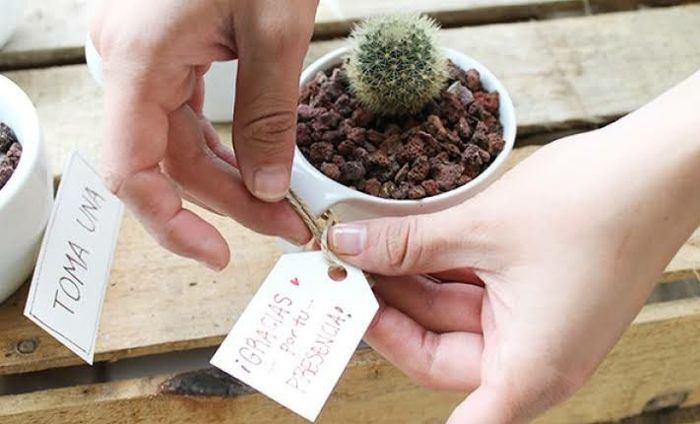 "Mis recuerdos de ensueño #lidia" 2