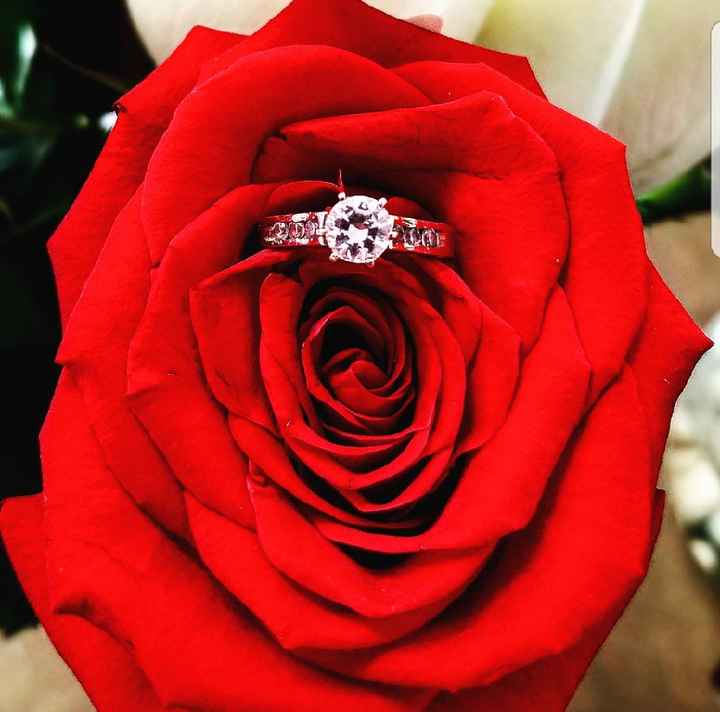 Anillos de Compromiso - 1