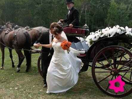 Carreta o carro clasico? - 1