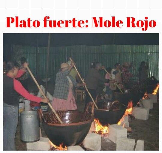 Caja sorpresa: daisy - 2