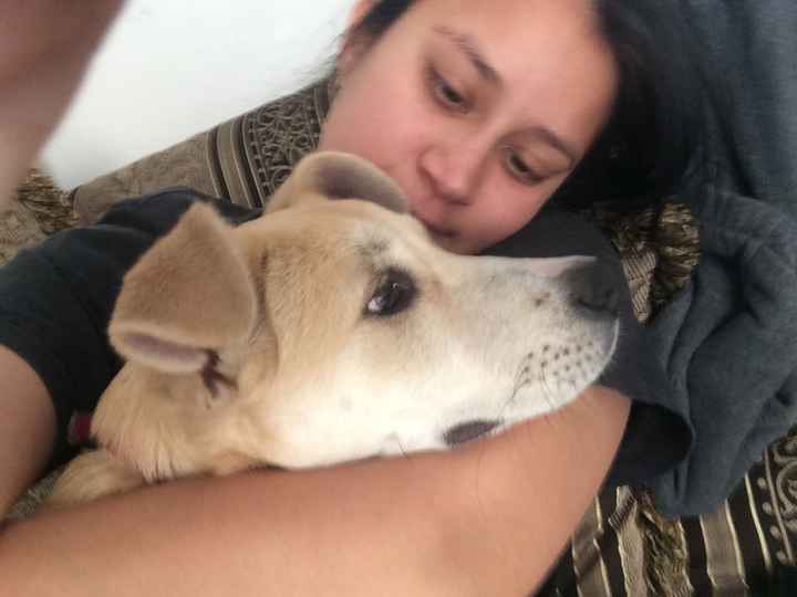 La foto de tu mascota! - 1