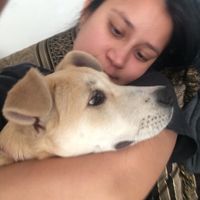La foto de tu mascota! - 1