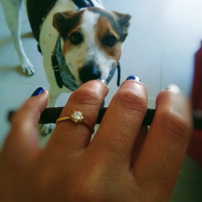 Mi anillo de compromiso, Ivonne 2