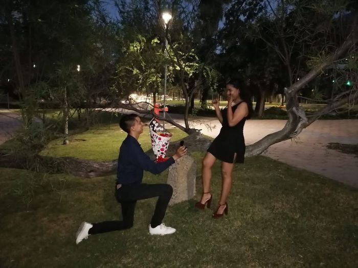 National Proposal Day 11