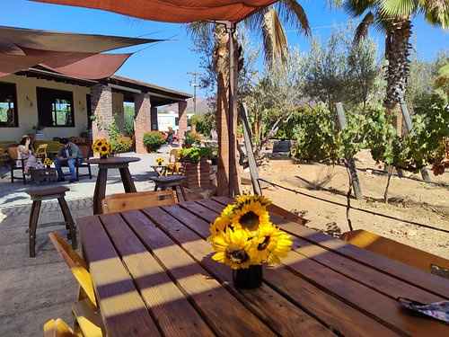 Ayuda!!, Boda en Valle de Guadalupe, Ensenada - 1