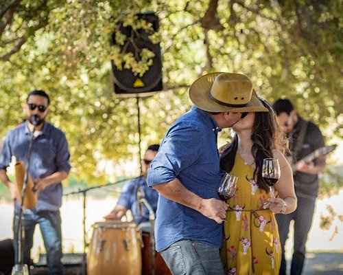 Ayuda!!, Boda en Valle de Guadalupe, Ensenada - 2