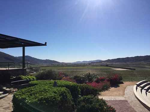 Ayuda!!, Boda en Valle de Guadalupe, Ensenada - 3