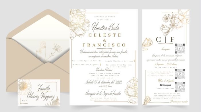 Dudas sobre invitaciones digitales 1