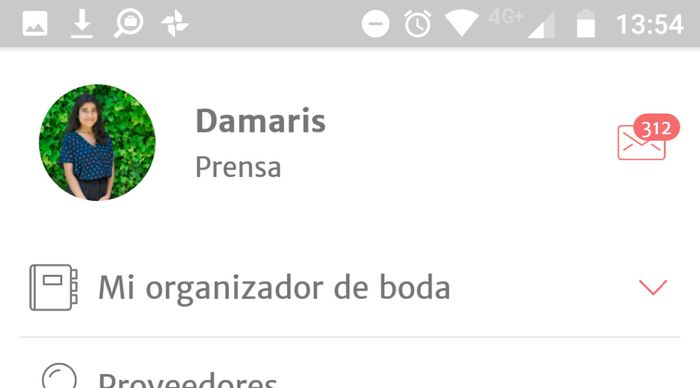 perfil