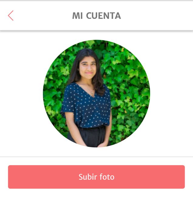 perfil