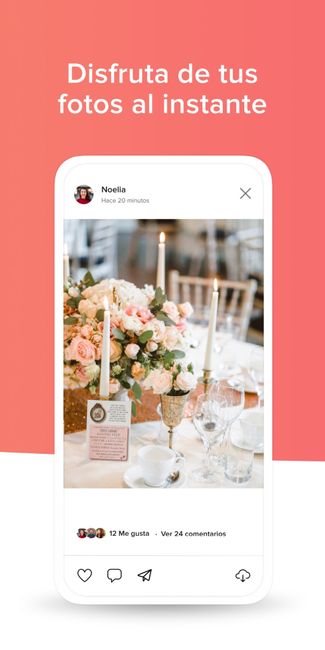 ¡Wedshoots se renueva y es aún mejor! 4