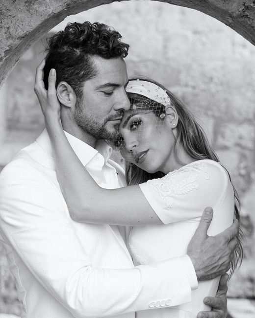 ¡David Bisbal y Rosanna Zanetti cumplen 2 años de casados!! 3