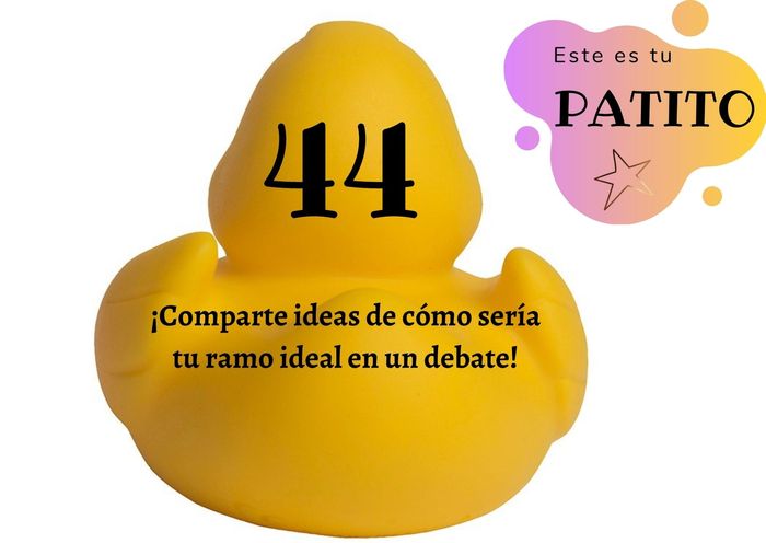 Feria de bodas: Elige tu patito 🐥🐤 19