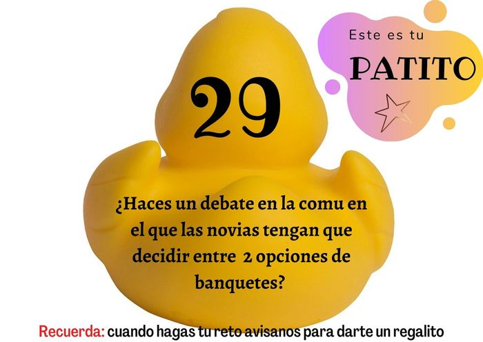 Feria de bodas: Elige tu patito 🐥🐤 2