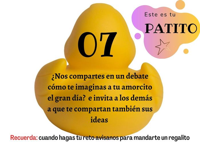 Feria de bodas: Elige tu patito 🐥🐤 25