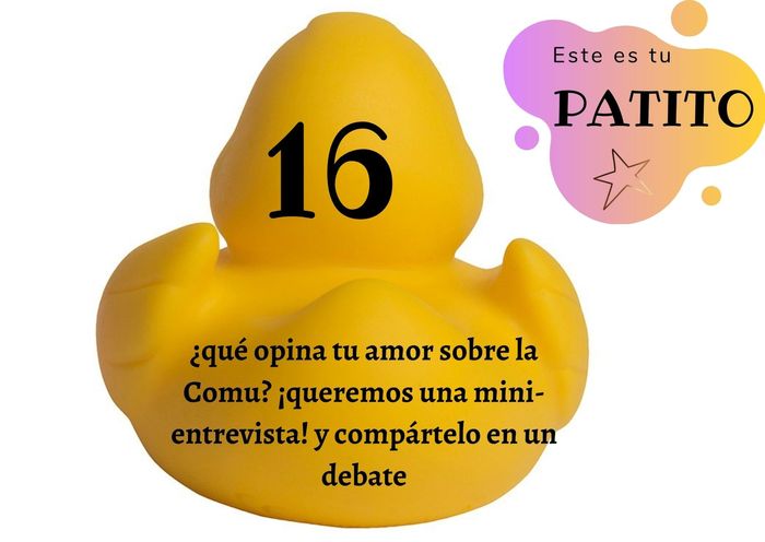 Feria de bodas: Elige tu patito 🐥🐤 16
