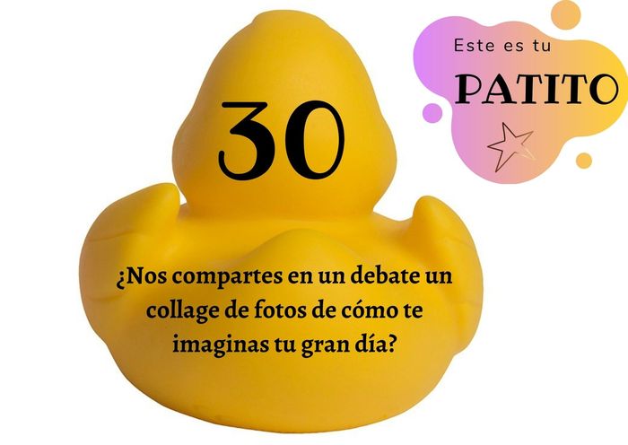 Feria de bodas: Elige tu patito 🐥🐤 17