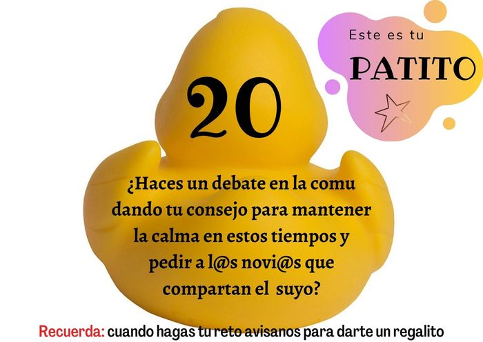 Feria de bodas: Elige tu patito 🐥🐤 16