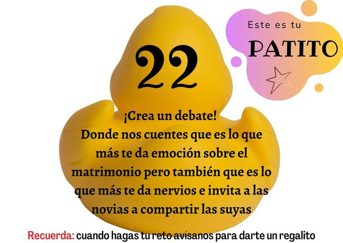 Feria de bodas: Elige tu patito 🐥🐤 14