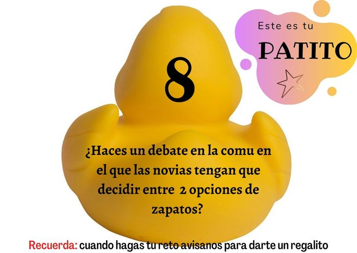 Feria de bodas: Elige tu patito 🐥🐤 11