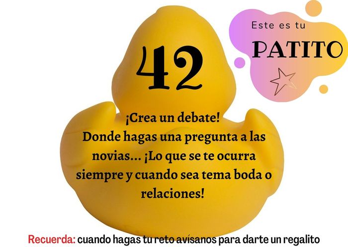Feria de bodas: Elige tu patito 🐥🐤 7