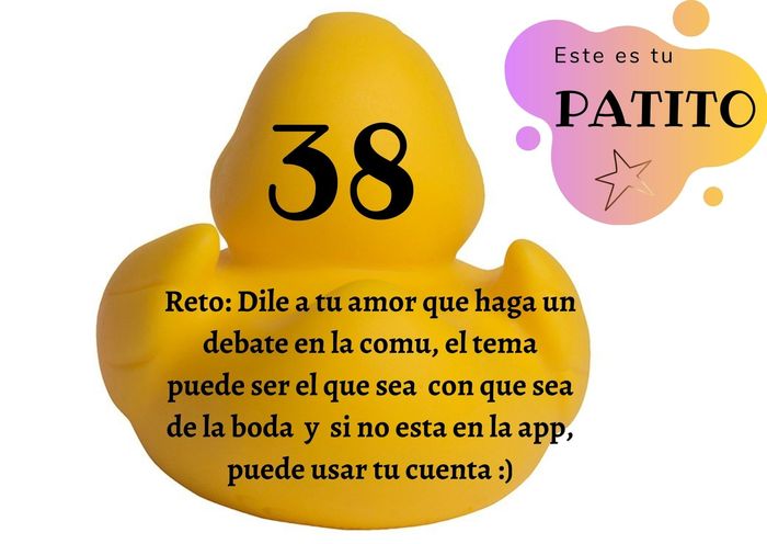 Feria de bodas: Elige tu patito 🐥🐤 3