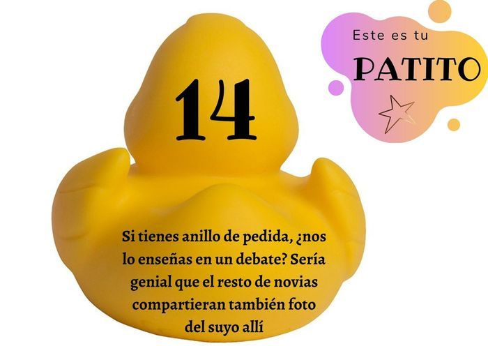 Feria de bodas: Elige tu patito 🐥🐤 9