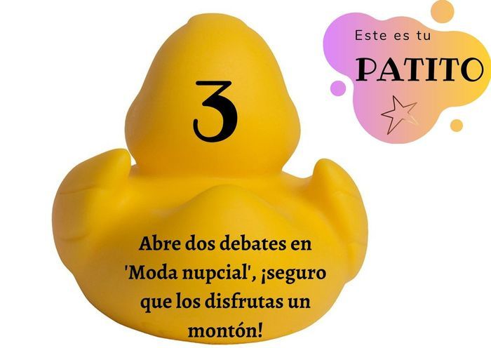 Feria de bodas: Elige tu patito 🐥🐤 7