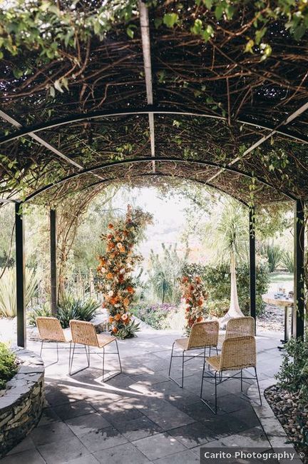 ¿Te gustaría tener una boda súper privada? 1