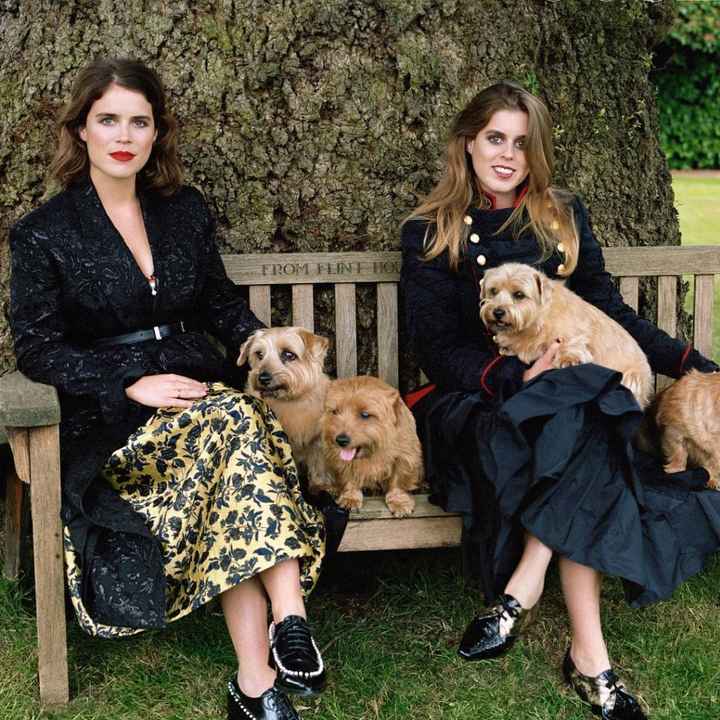 royal