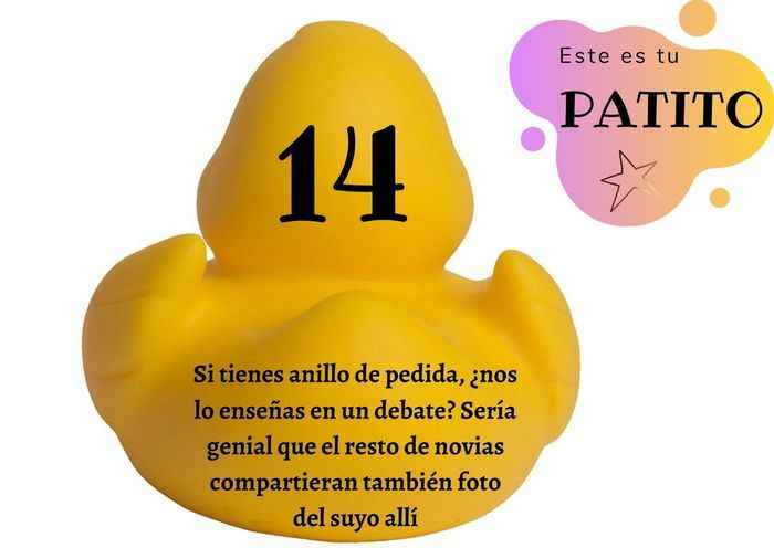 Feria de bodas: Elija tu patito 🐥🐤 - 1