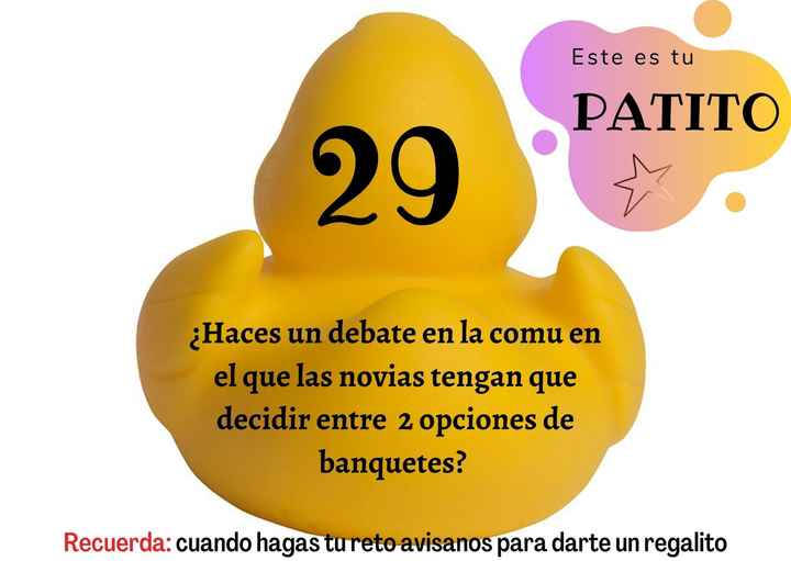 Feria de bodas: Elija tu patito 🐥🐤 - 1